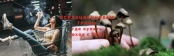 стафф Белокуриха