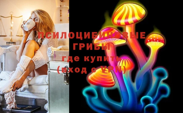 ГАЛЛЮЦИНОГЕННЫЕ ГРИБЫ Богородск