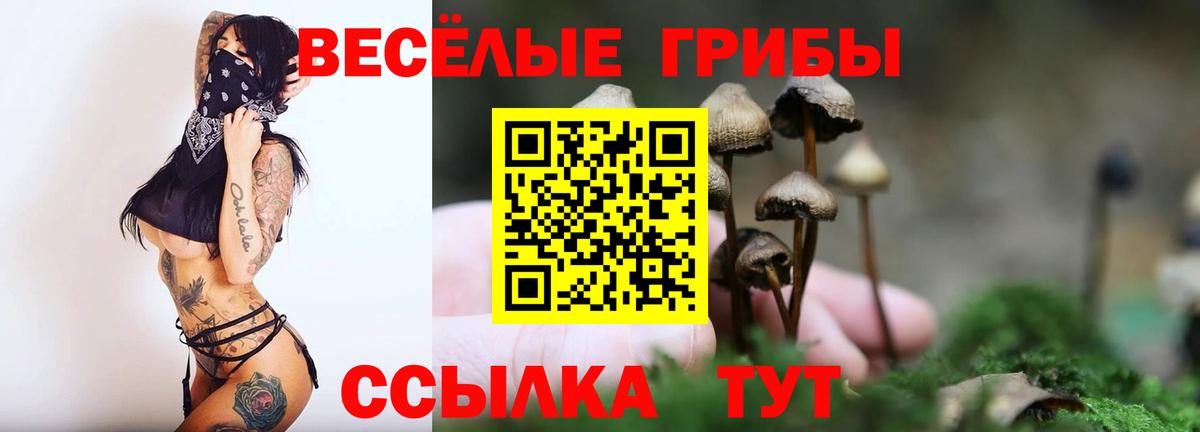 где купить   Псилоцибиновые грибы Psilocybine cubensis  Вход с VPN  Галлюциногенные грибы GOLDEN TEACHER  Пыть-Ях 